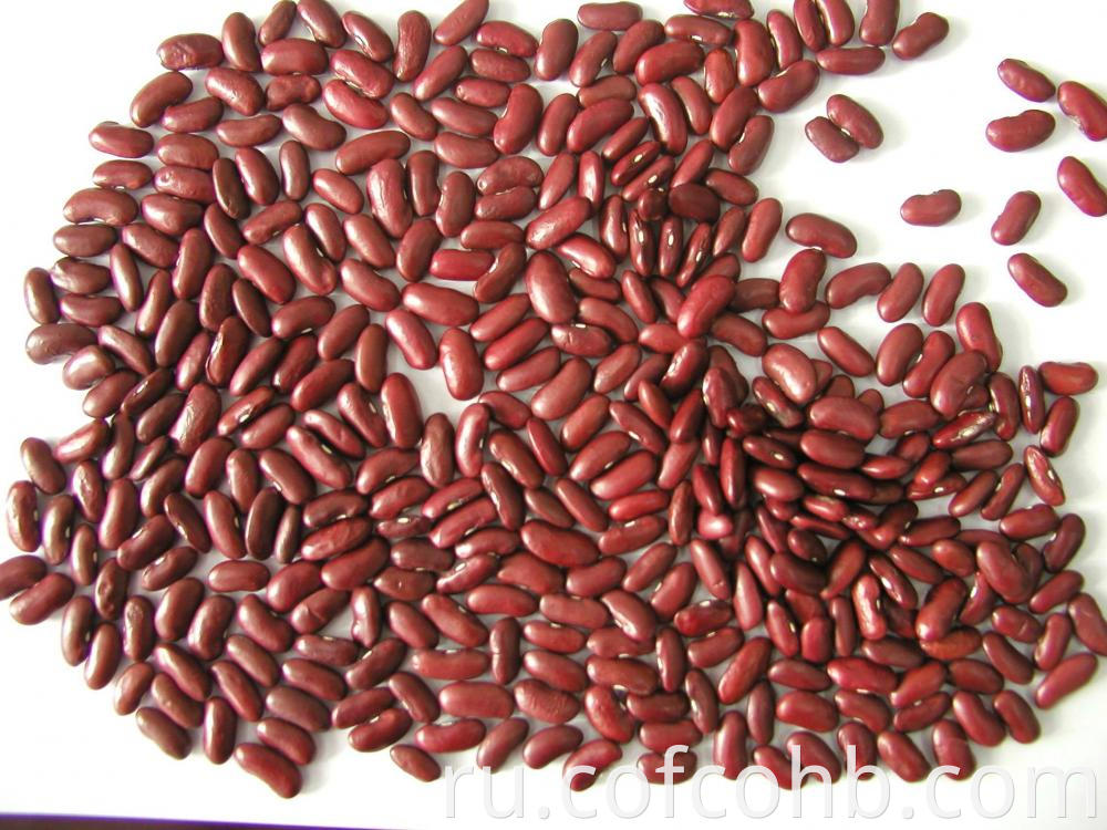 Dark Red Kidney Bean